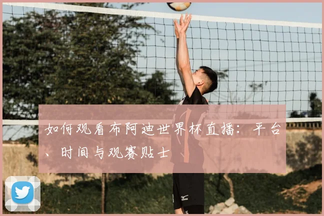 如何观看布阿迪世界杯直播:平台、时间与观赛贴士