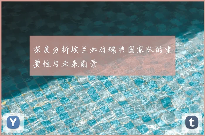 深度分析埃兰加对瑞典国家队的重要性与未来前景