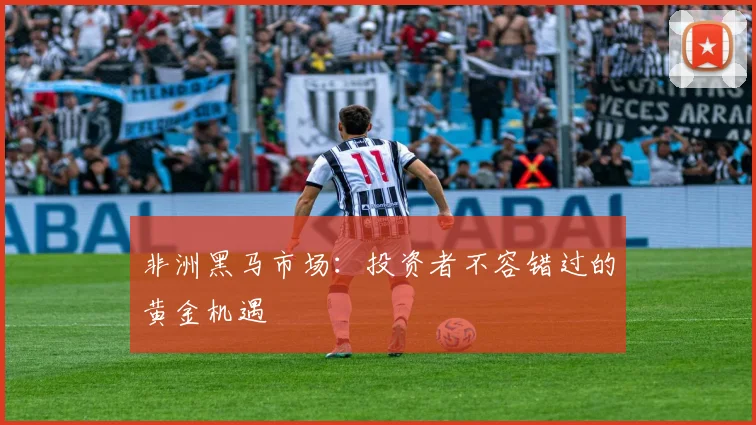 非洲黑马市场:投资者不容错过的黄金机遇