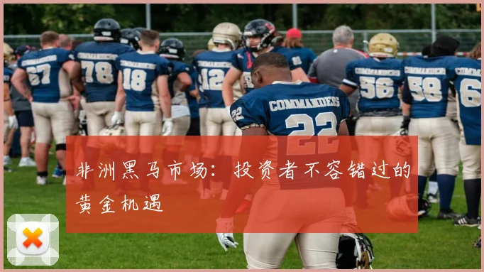 非洲黑马市场：投资者不容错过的黄金机遇